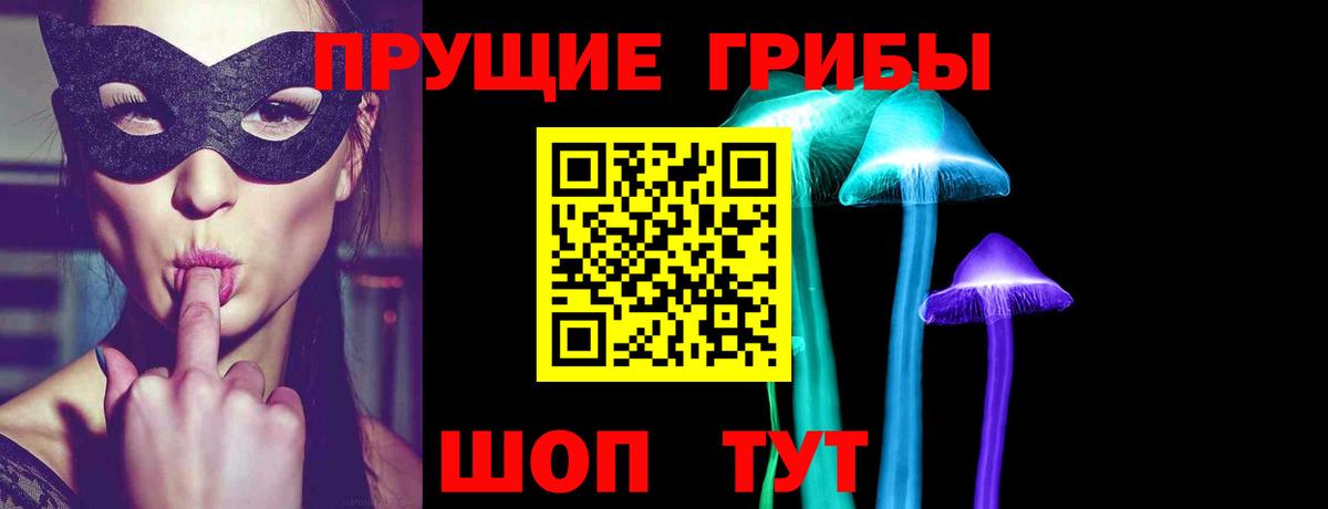 Псилоцибиновые грибы GOLDEN TEACHER Партизанск